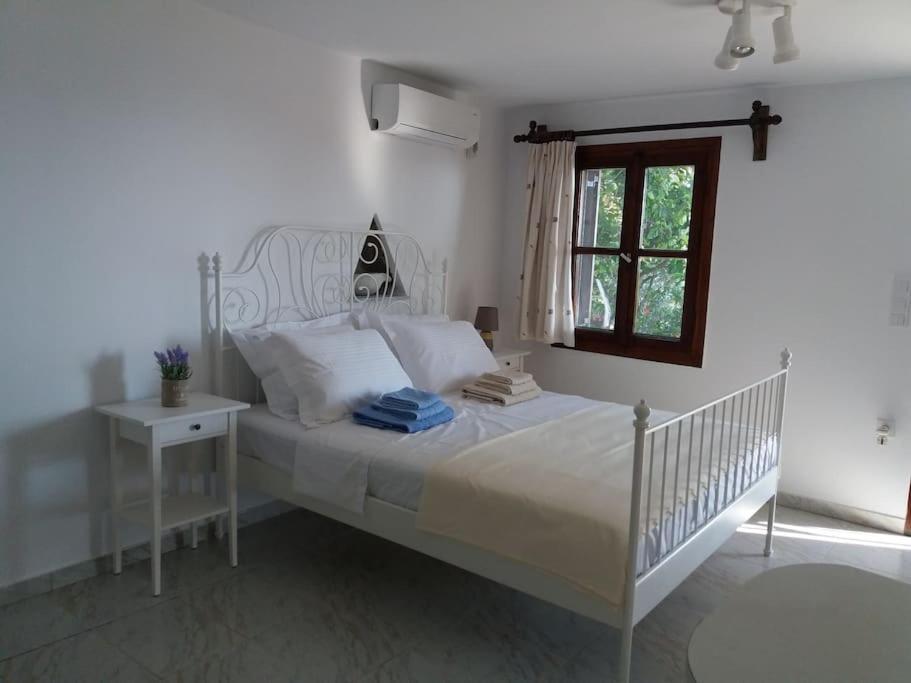 Grandpa Simos' Traditional Guest House Agios Romanos Eksteriør bilde