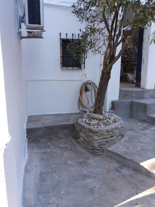 Grandpa Simos' Traditional Guest House Agios Romanos Eksteriør bilde
