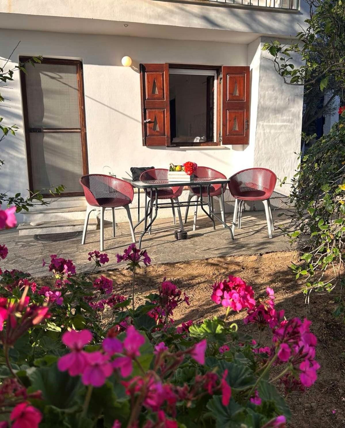 Grandpa Simos' Traditional Guest House Agios Romanos Eksteriør bilde