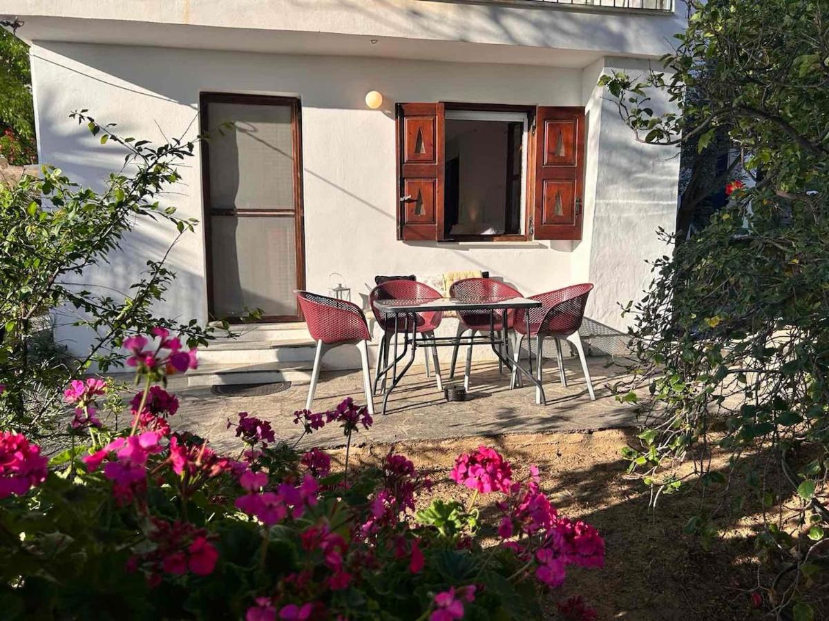 Grandpa Simos' Traditional Guest House Agios Romanos Eksteriør bilde