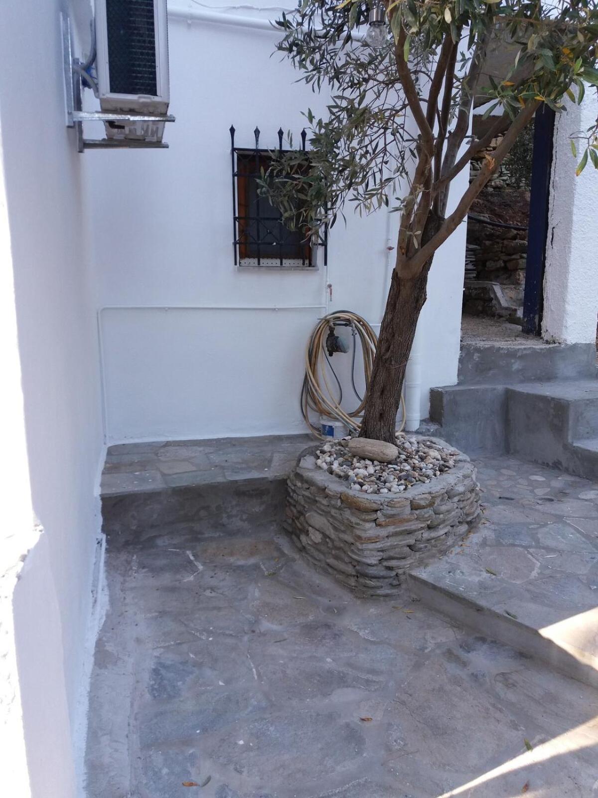 Grandpa Simos' Traditional Guest House Agios Romanos Eksteriør bilde